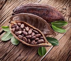 ORGANIC RAW CACAO